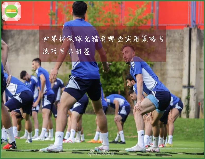 世界杯滚球竞猜有哪些实用策略与技巧可以借鉴