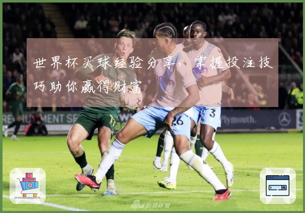 世界杯买球经验分享，掌握投注技巧助你赢得财富