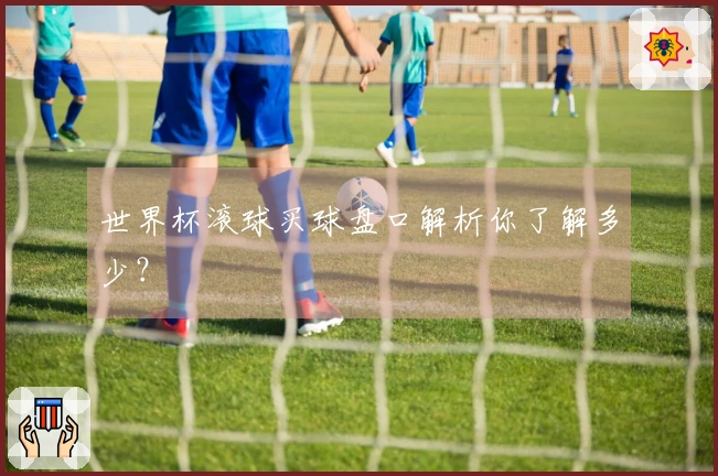 世界杯滚球买球盘口解析你了解多少？