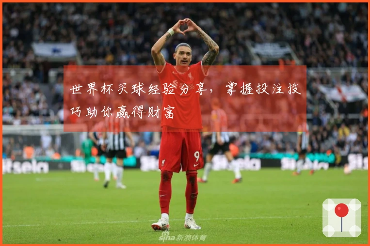 世界杯买球经验分享，掌握投注技巧助你赢得财富