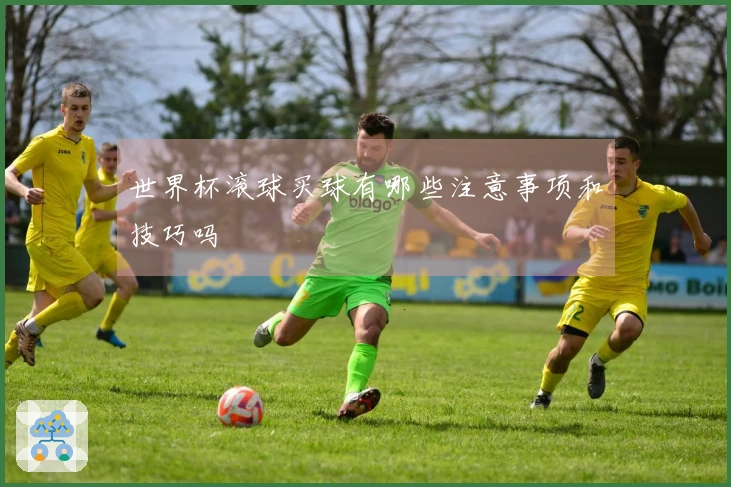 世界杯滚球买球有哪些注意事项和技巧吗