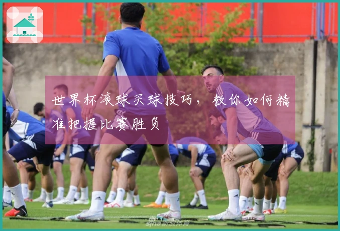 世界杯滚球买球技巧，教你如何精准把握比赛胜负