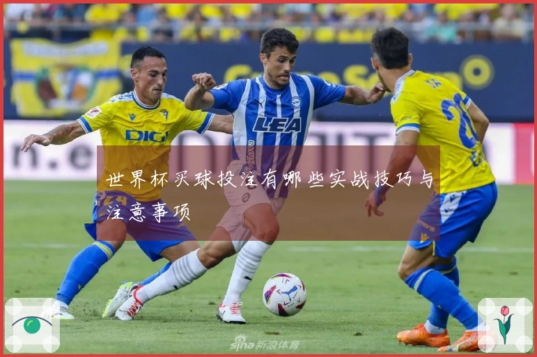 世界杯买球投注有哪些实战技巧与注意事项