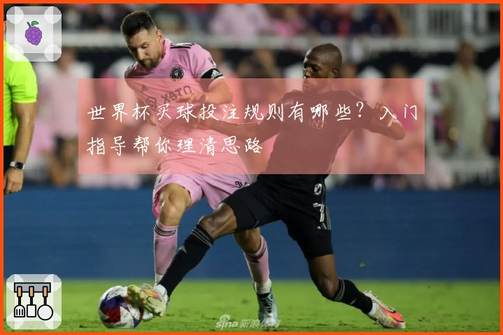 世界杯买球投注规则有哪些？入门指导帮你理清思路