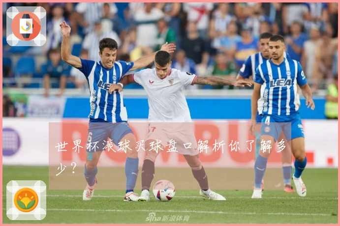 世界杯滚球买球盘口解析你了解多少？